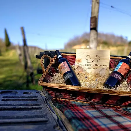 Farm stay Wild Agriturismo Podere Della Bruciata *