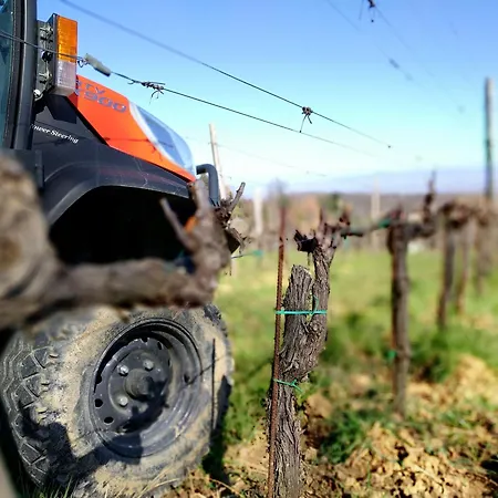 Alloggio per agriturismo Wild Podere Della Bruciata Chiusi