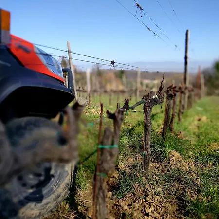 Alloggio per agriturismo Wild Podere Della Bruciata