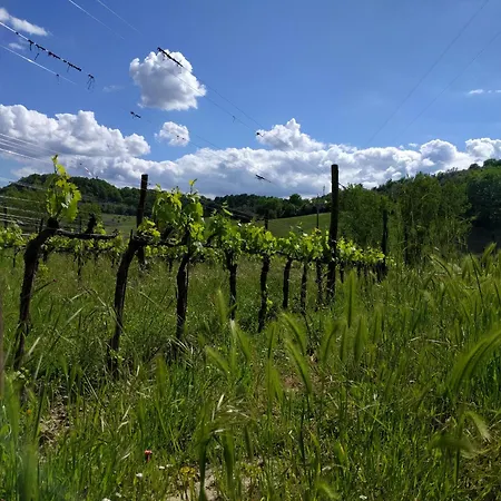 Wild Agriturismo Podere Della Bruciata *
