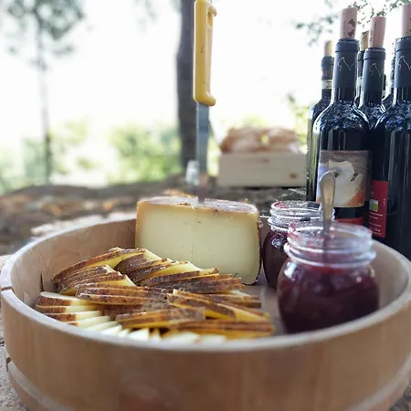 Wild Agriturismo Podere Della Bruciata Farm stay Chiusi