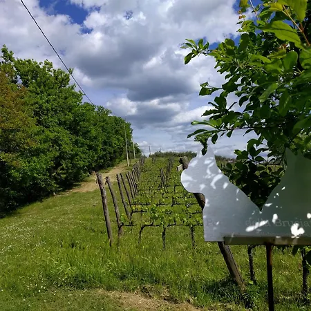 Wild Agriturismo Podere Della Bruciata Farm stay