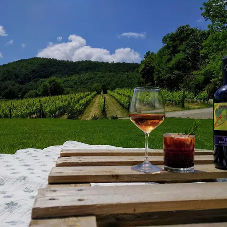 Wild Podere Della Bruciata